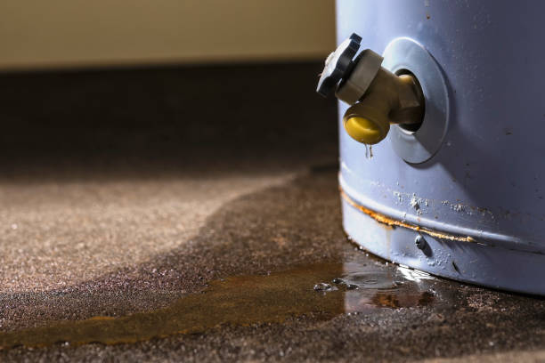 Best Professional water damage repair  in New Brighton, MN