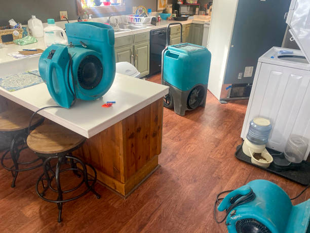 Best 24/7 water damage repair  in New Brighton, MN