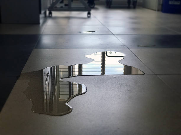 Water damage restoration process in New Brighton, MN