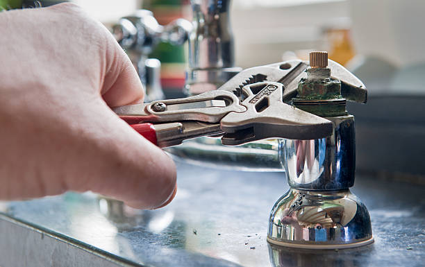 Best Mold removal after water damage  in New Brighton, MN