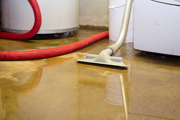 Water damage restoration process in New Brighton, MN