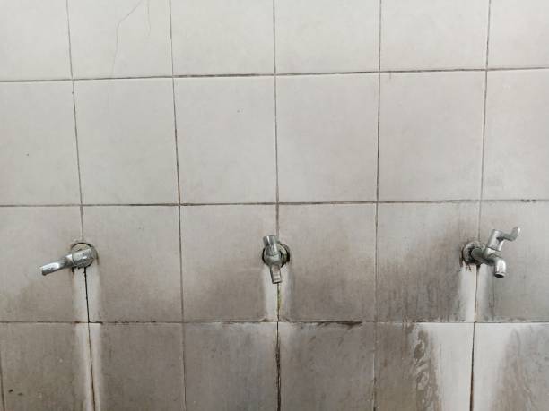 Best Flood restoration services  in New Brighton, MN