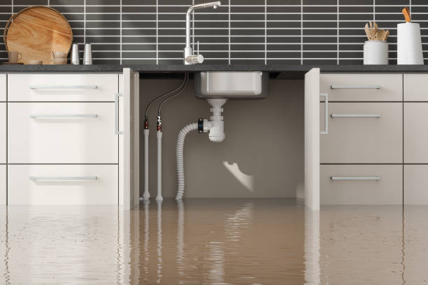 Trusted New Brighton, MN Water damage restoration Experts