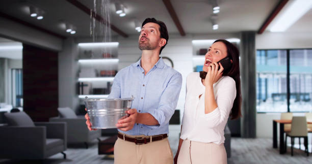 Trusted New Brighton, MN Water damage restoration Experts