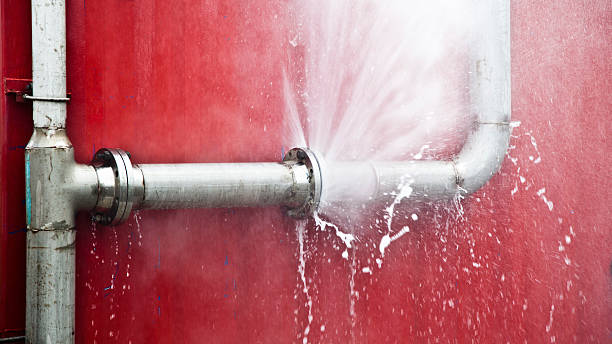 Best Sewage cleanup and water damage restoration  in New Brighton, MN