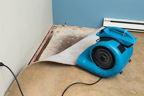 Best Flood damage cleanup  in New Brighton, MN